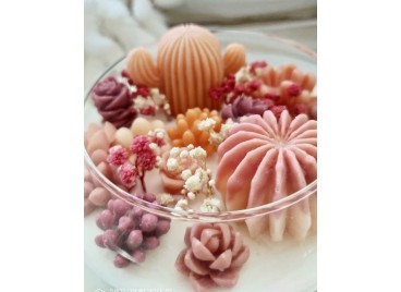 Terrarium Elissoide Arizona – Candela Decorativa Home Decor in Cera di Soia e Oliva