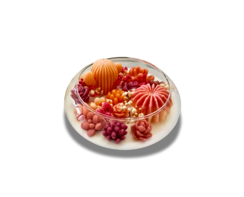 Terrarium Elissoide Nevada