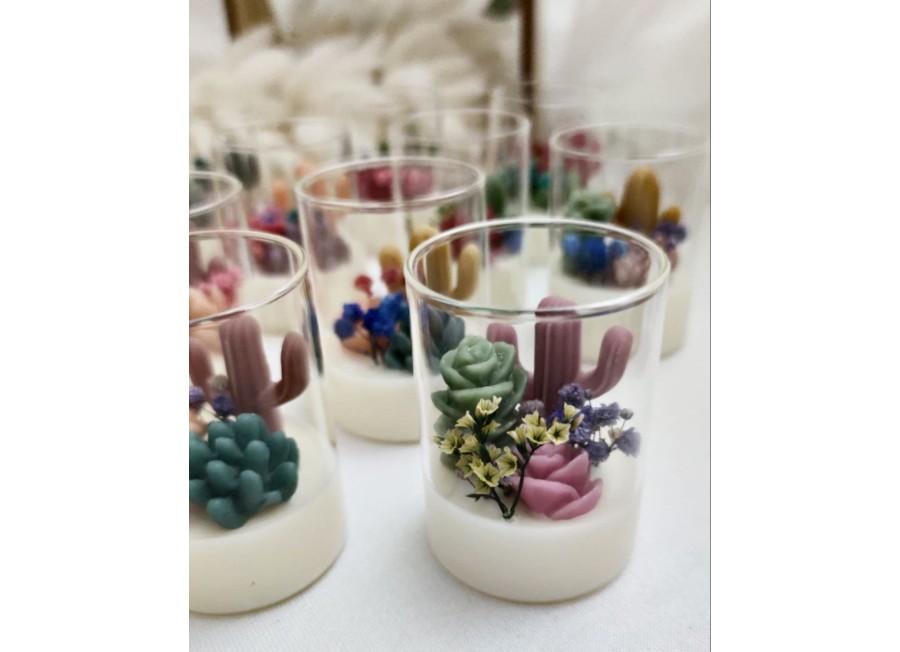 Terrarium Arizona Mini– Candela artigianale in cera di soia e oliva