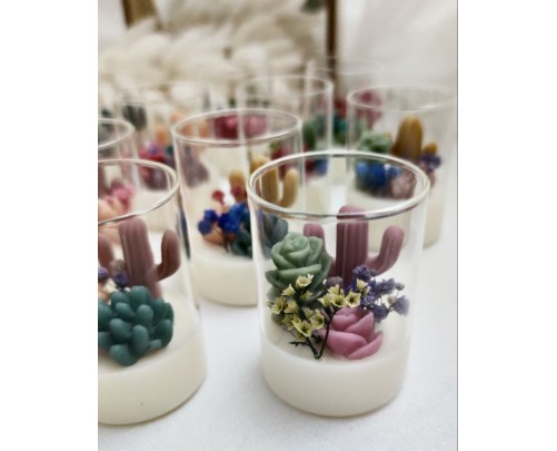 Terrarium Mini Arizona – Candela artigianale in cera di soia e oliva con mini cactus