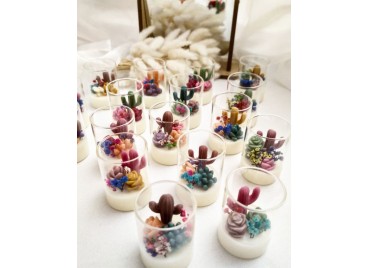 Terrarium Mini Arizona – Candela artigianale in cera di soia e oliva con mini cactus