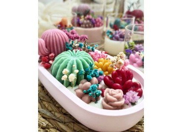 Candela “Oasi di Cactus” in Gesso Ceramico – Artigianale in Cera di Soia