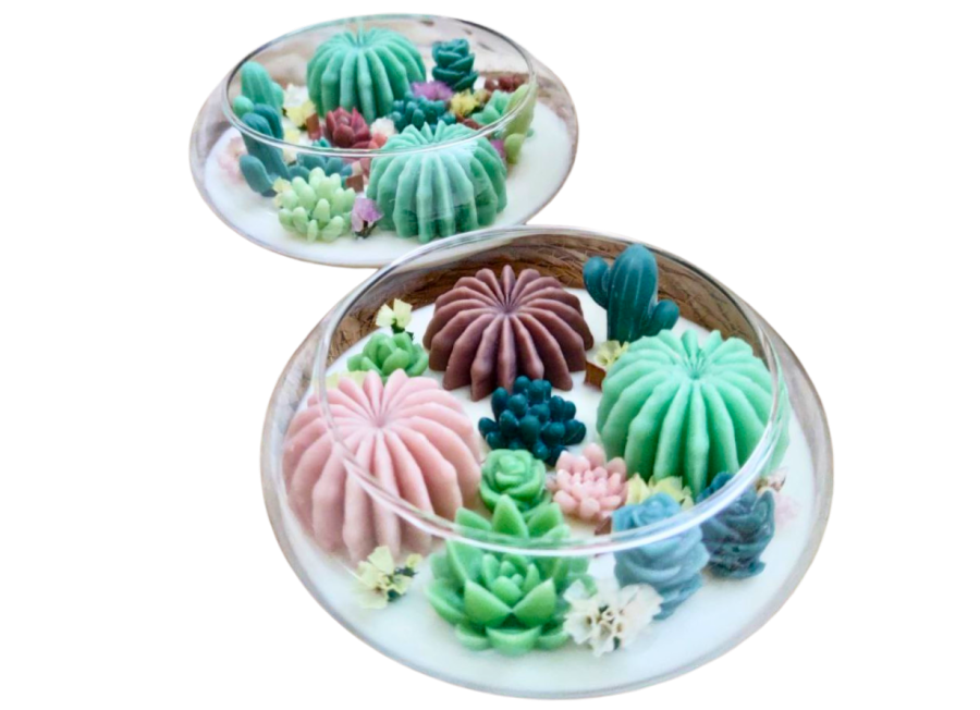 Terrarium Elissoide Green – Candela Artigianale in Vetro con Giardino di Cactus