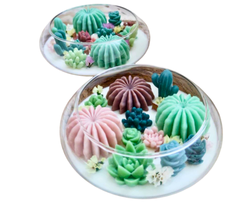 Terrarium Elissoide Green – Candela Artigianale in Cera di Soia e Oliva 15 cm