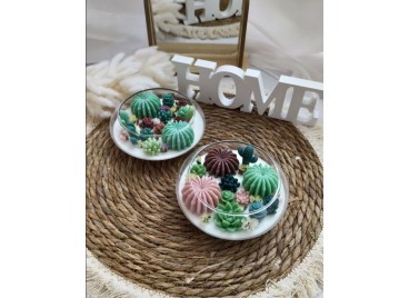 Terrarium Elissoide Green – Candela Artigianale in Vetro con Giardino di Cactus