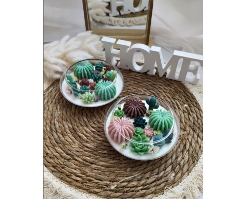 Terrarium Elissoide Green – Candela Artigianale in Vetro con Giardino di Cactus