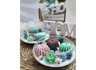 Terrarium Elissoide Green – Candela Artigianale in Cera di Soia e Oliva 15 cm