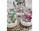 Terrarium Arizona Medium – Candela Artigianale con Giardino di Cactus
